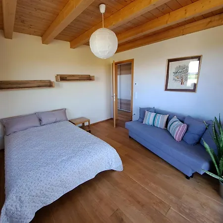 Alpakaleben Im ökologischen Holzhaus Mit Traumhafter Aussicht Und Alpakas Oberegg